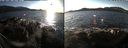 ./images/rivers-inlet/ethel/20191225/ethel20191225_143450.jpg