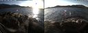 ./images/rivers-inlet/ethel/20191225/ethel20191225_144450.jpg