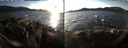 ./images/rivers-inlet/ethel/20191225/ethel20191225_150450.jpg
