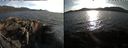 ./images/rivers-inlet/ethel/20200415/ethel20200415_184449.jpg
