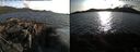 ./images/rivers-inlet/ethel/20200423/ethel20200423_185449.jpg