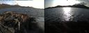 ./images/rivers-inlet/ethel/20200423/ethel20200423_185949.jpg