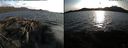./images/rivers-inlet/ethel/20200423/ethel20200423_192448.jpg