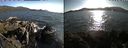 ./images/rivers-inlet/ethel/20200726/ethel20200726_185459.jpg
