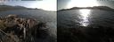 ./images/rivers-inlet/ethel/20200810/ethel20200810_184458.jpg