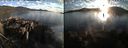 ./images/rivers-inlet/ethel/20200816/ethel20200816_195458.jpg