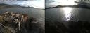 ./images/rivers-inlet/ethel/20200817/ethel20200817_185958.jpg