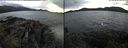 ./images/rivers-inlet/ethel/20200819/ethel20200819_194958.jpg