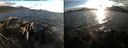 ./images/rivers-inlet/ethel/20200825/ethel20200825_193958.jpg