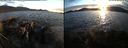 ./images/rivers-inlet/ethel/20200825/ethel20200825_195958.jpg