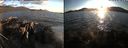 ./images/rivers-inlet/ethel/20200826/ethel20200826_194958.jpg