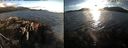 ./images/rivers-inlet/ethel/20200905/ethel20200905_191457.jpg