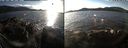 ./images/rivers-inlet/ethel/20201201/ethel20201201_142954.jpg