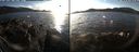 ./images/rivers-inlet/ethel/20201201/ethel20201201_144954.jpg