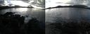 ./images/rivers-inlet/ethel/20210103/ethel20210103_125954.jpg