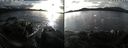 ./images/rivers-inlet/ethel/20210103/ethel20210103_144954.jpg