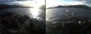 ./images/rivers-inlet/ethel/20210111/ethel20210111_143454.jpg