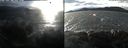 ./images/rivers-inlet/ethel/20210114/ethel20210114_143454.jpg