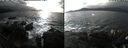 ./images/rivers-inlet/ethel/20210115/ethel20210115_135954.jpg
