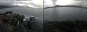 ./images/rivers-inlet/ethel/20210117/ethel20210117_145954.jpg