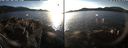 ./images/rivers-inlet/ethel/20210122/ethel20210122_152454.jpg