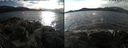 ./images/rivers-inlet/ethel/20210126/ethel20210126_142453.jpg