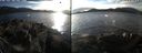 ./images/rivers-inlet/ethel/20210126/ethel20210126_145953.jpg