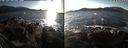 ./images/rivers-inlet/ethel/20210128/ethel20210128_144453.jpg