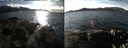 ./images/rivers-inlet/ethel/20210202/ethel20210202_134953.jpg