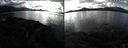 ./images/rivers-inlet/ethel/20210207/ethel20210207_141447.jpg