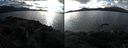 ./images/rivers-inlet/ethel/20210207/ethel20210207_143447.jpg