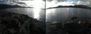./images/rivers-inlet/ethel/20210207/ethel20210207_144447.jpg