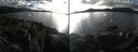 ./images/rivers-inlet/ethel/20210207/ethel20210207_152953.jpg
