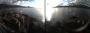 ./images/rivers-inlet/ethel/20210207/ethel20210207_161953.jpg
