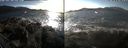 ./images/rivers-inlet/ethel/20210211/ethel20210211_145453.jpg