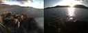 ./images/rivers-inlet/ethel/20210425/ethel20210425_195000.jpg