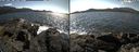 ./images/rivers-inlet/ethel/20210426/ethel20210426_150500.jpg