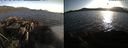 ./images/rivers-inlet/ethel/20210514/ethel20210514_195959.jpg