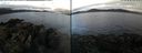 ./images/rivers-inlet/ethel/20210519/ethel20210519_062959.jpg