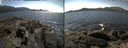 ./images/rivers-inlet/ethel/20210520/ethel20210520_142459.jpg
