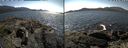 ./images/rivers-inlet/ethel/20210520/ethel20210520_144459.jpg