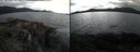 ./images/rivers-inlet/ethel/20210524/ethel20210524_165959.jpg