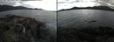 ./images/rivers-inlet/ethel/20210524/ethel20210524_170959.jpg