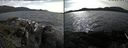 ./images/rivers-inlet/ethel/20210529/ethel20210529_164459.jpg