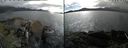 ./images/rivers-inlet/ethel/20210609/ethel20210609_162958.jpg