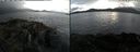 ./images/rivers-inlet/ethel/20210609/ethel20210609_194958.jpg