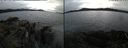 ./images/rivers-inlet/ethel/20210619/ethel20210619_201958.jpg