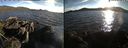 ./images/rivers-inlet/ethel/20210620/ethel20210620_195958.jpg