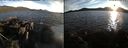 ./images/rivers-inlet/ethel/20210620/ethel20210620_203958.jpg