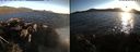 ./images/rivers-inlet/ethel/20210622/ethel20210622_204957.jpg